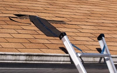 The Most Common Spring Roofing Problems in Phoenix (And How We Can Help)